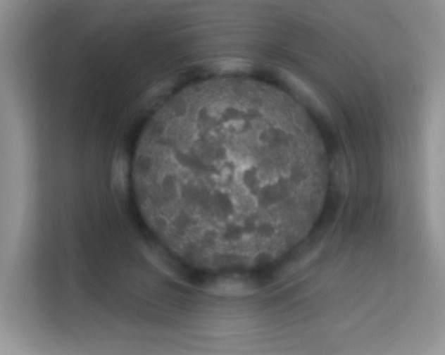 X0000113980550200910091320