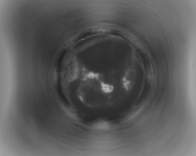 X0000113980551200910091320