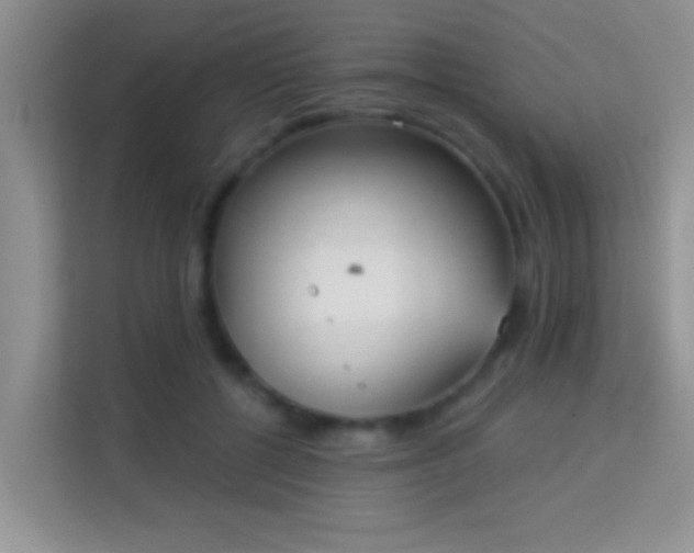 X0000113980552200910091320