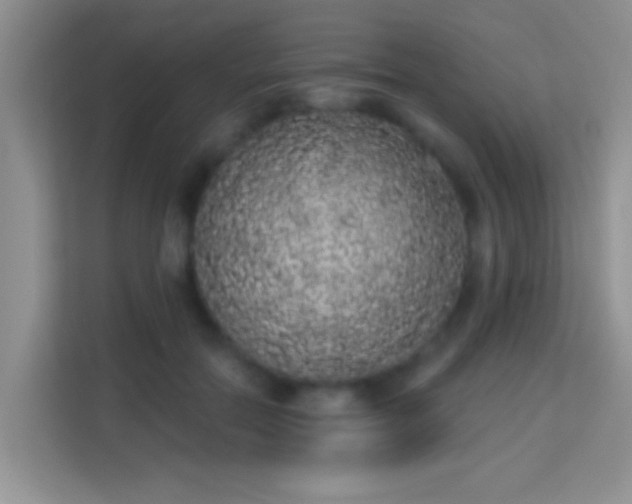 X0000113980554200910091320