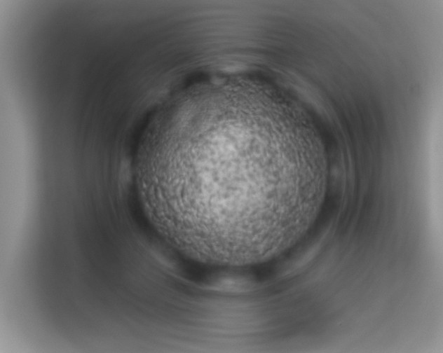 X0000113980555200910091320