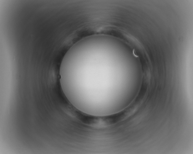 X0000113980558200910091320