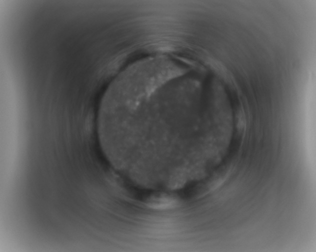 X0000113980559200910091320