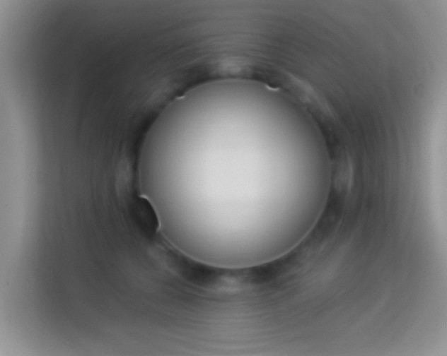 X0000113980560200910091320