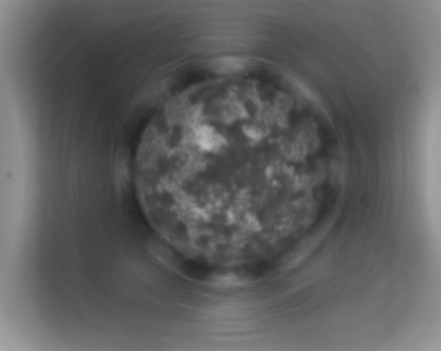 X0000113980561200910091320