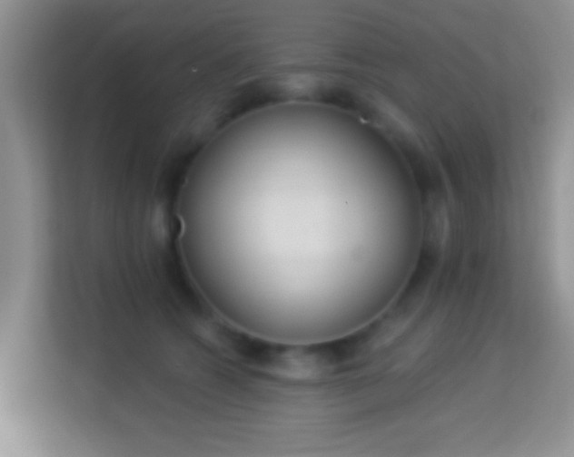 X0000113980562200910091320