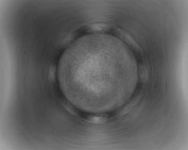 X0000113980563200910091320