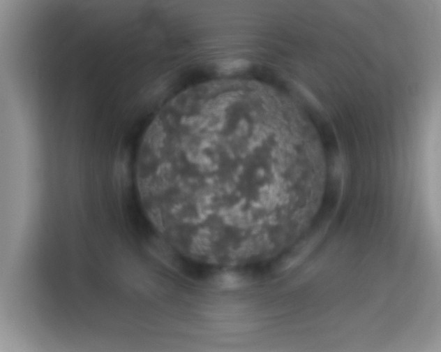 X0000113980565200910091320