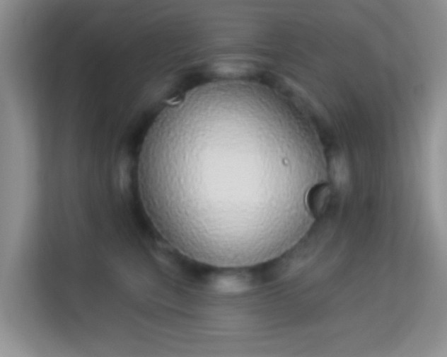 X0000113980567200910091320