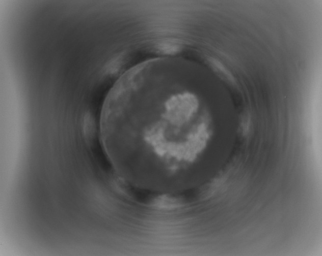 X0000113980568200910091320