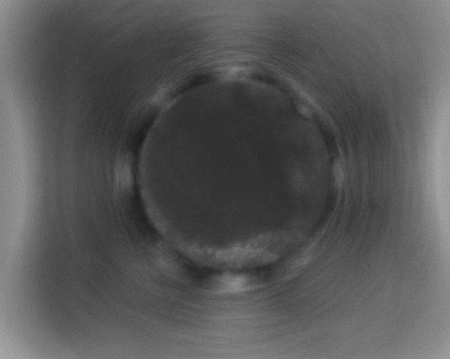 X0000113980570200910091320