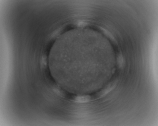 X0000113980571200910091320