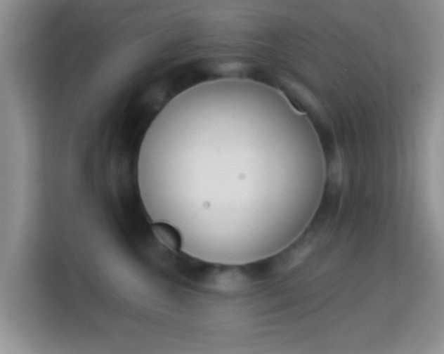 X0000113980572200910091320