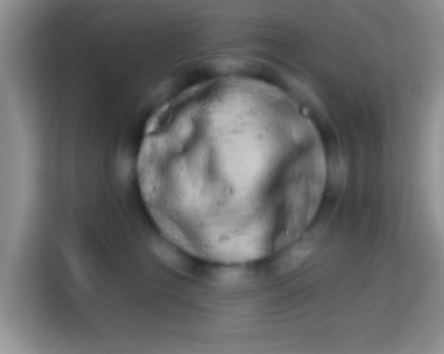 X0000113980574200910091320