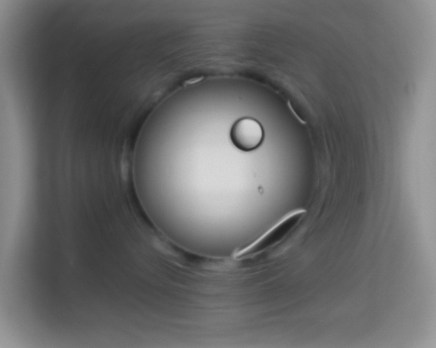 X0000113980576200910091320