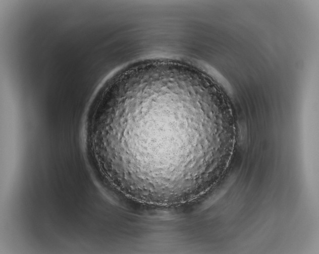 X0000113980580200910091320