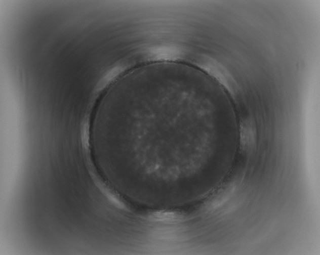 X0000113980581200910091320