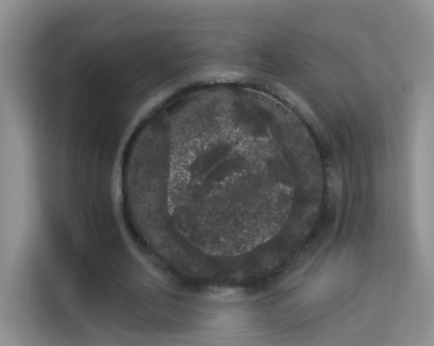 X0000113980582200910091320