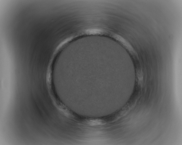 X0000113980583200910091320