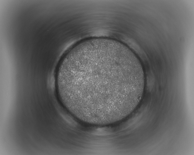 X0000113980584200910091320