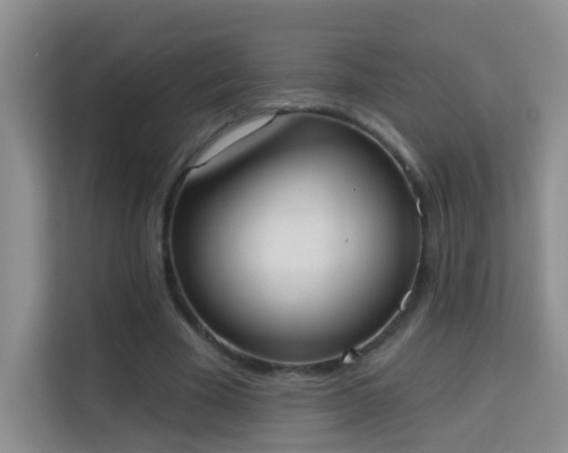 X0000113980585200910091320