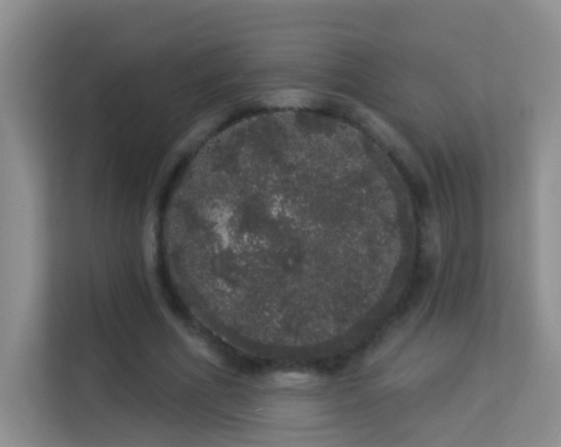 X0000113980586200910091320