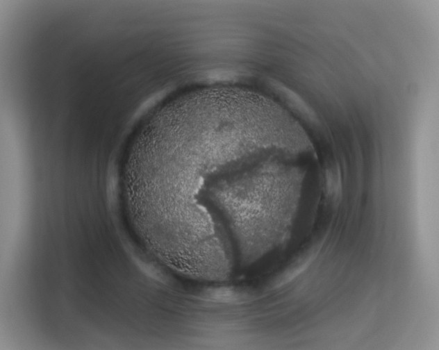 X0000113980588200910091320