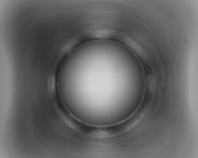 X0000113980589200910091320