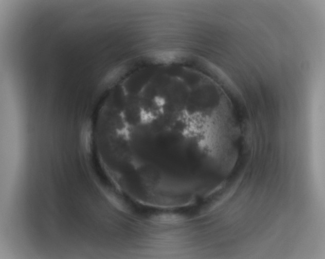 X0000113980590200910091320