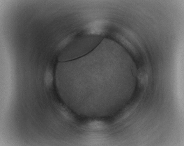 X0000113980593200910091320