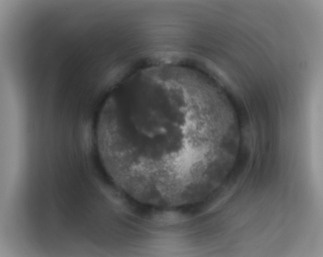 X0000113980594200910091320