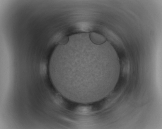 X0000113980595200910091319