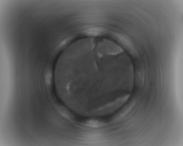 X0000113980596200910091319