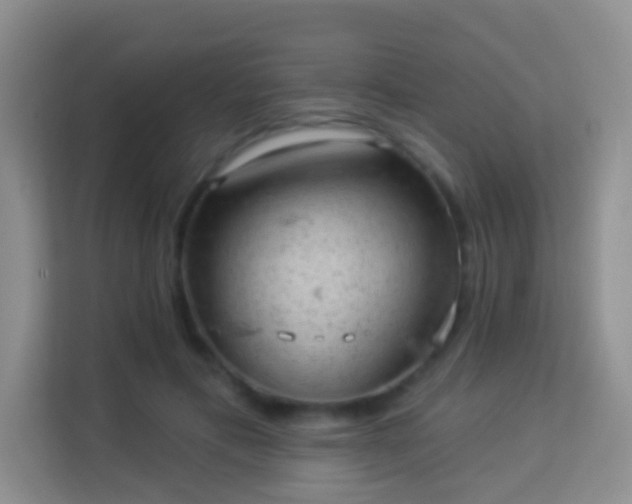 X0000113980597200910091319