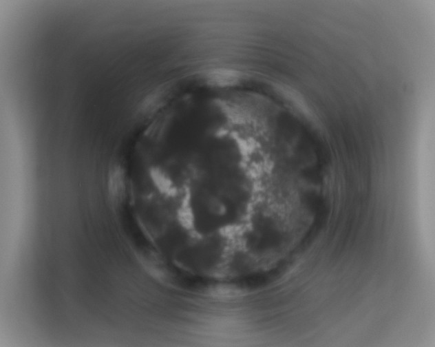 X0000113980598200910091319