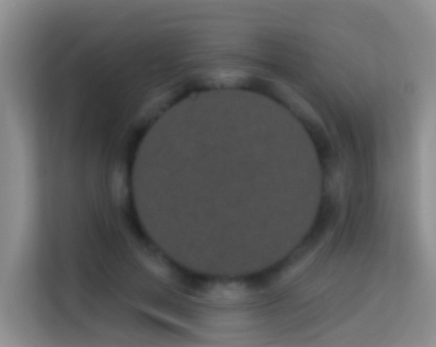 X0000113980599200910091319