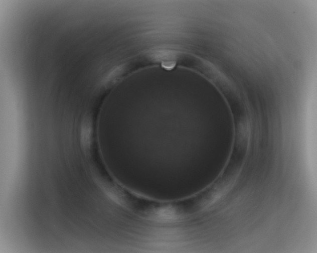 X0000113980600200910091319