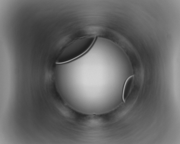 X0000113980601200910091319