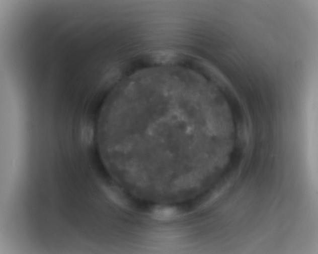 X0000113980602200910091319