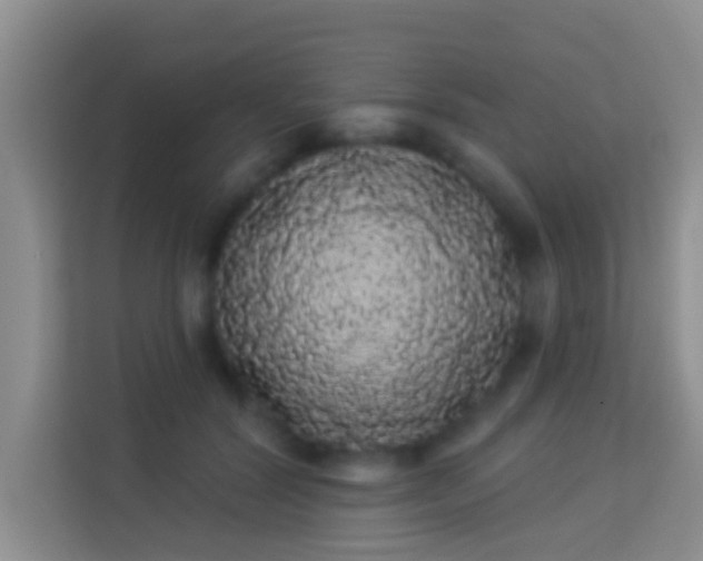 X0000113980604200910091319