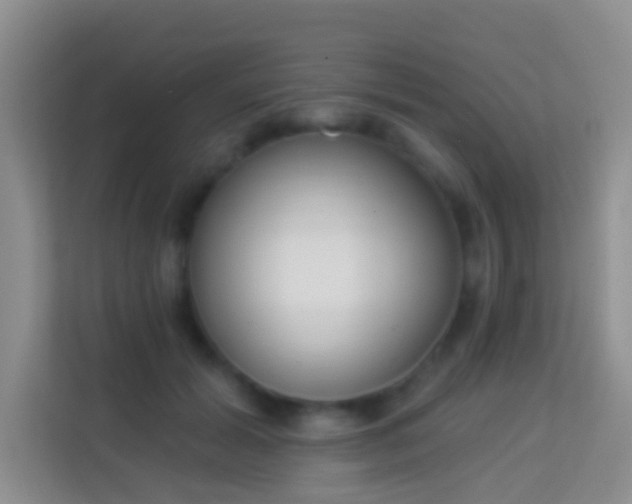 X0000113980605200910091319