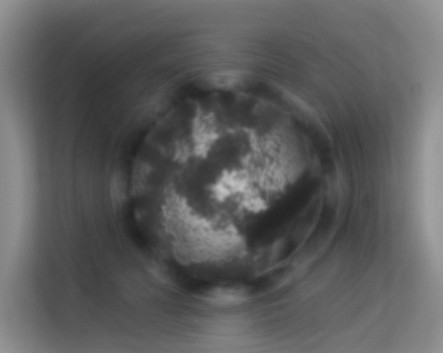 X0000113980606200910091319