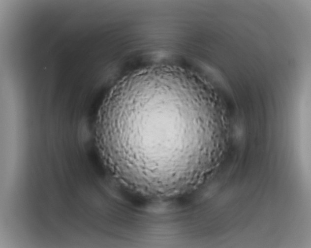 X0000113980607200910091319