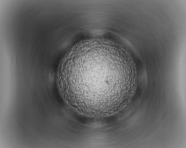 X0000113980608200910091319