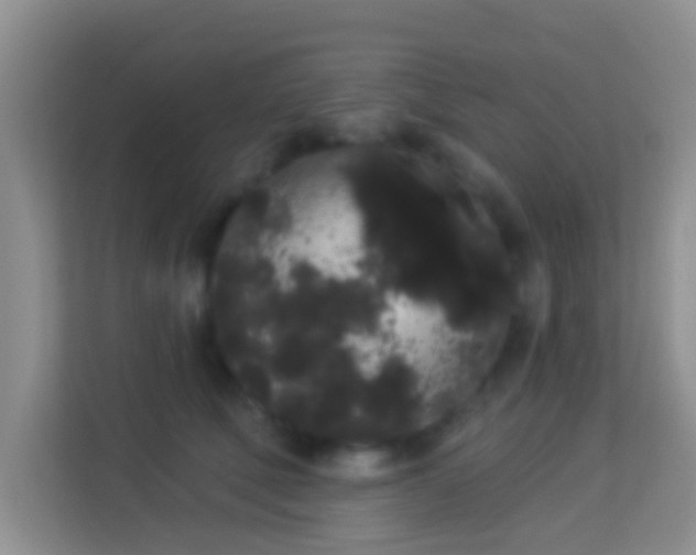 X0000113980610200910091319