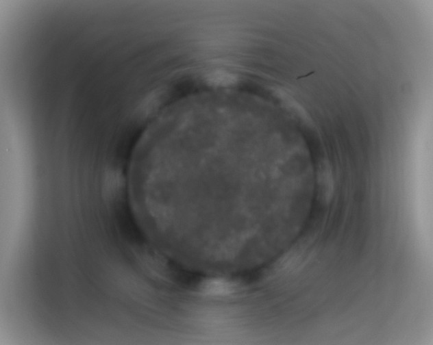 X0000113980614200910091319