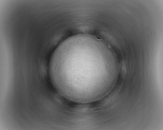 X0000113980615200910091319