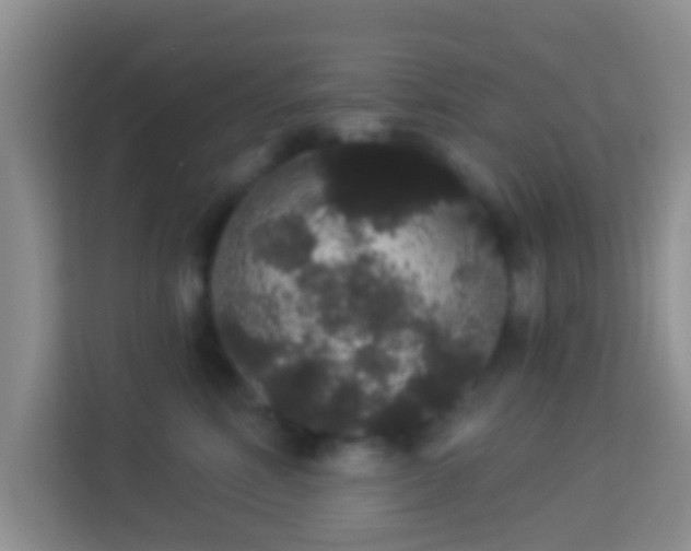 X0000113980618200910091319