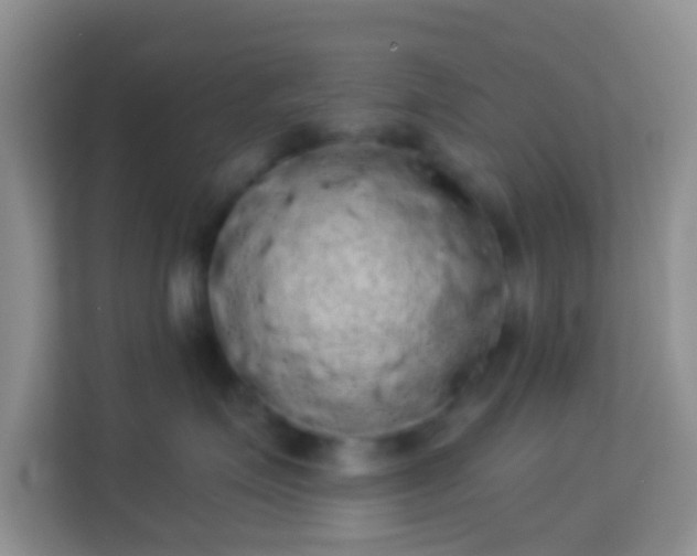 X0000113980623200910091319