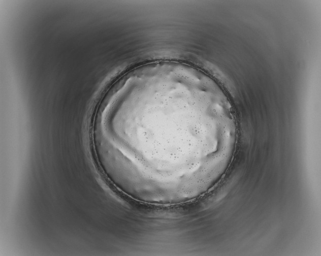 X0000113980625200910091318